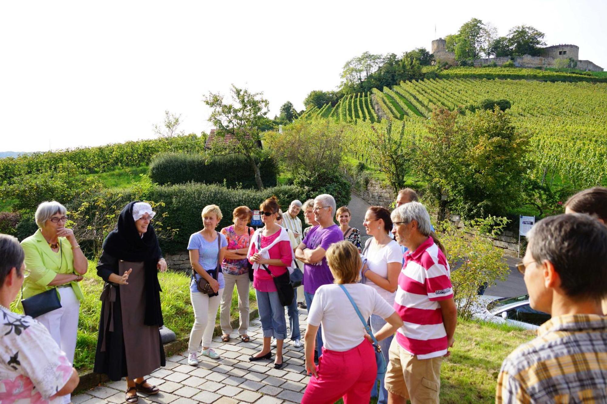 Lehrensteinsfeld Gaestehaus Zum Wolffenturm מראה חיצוני תמונה