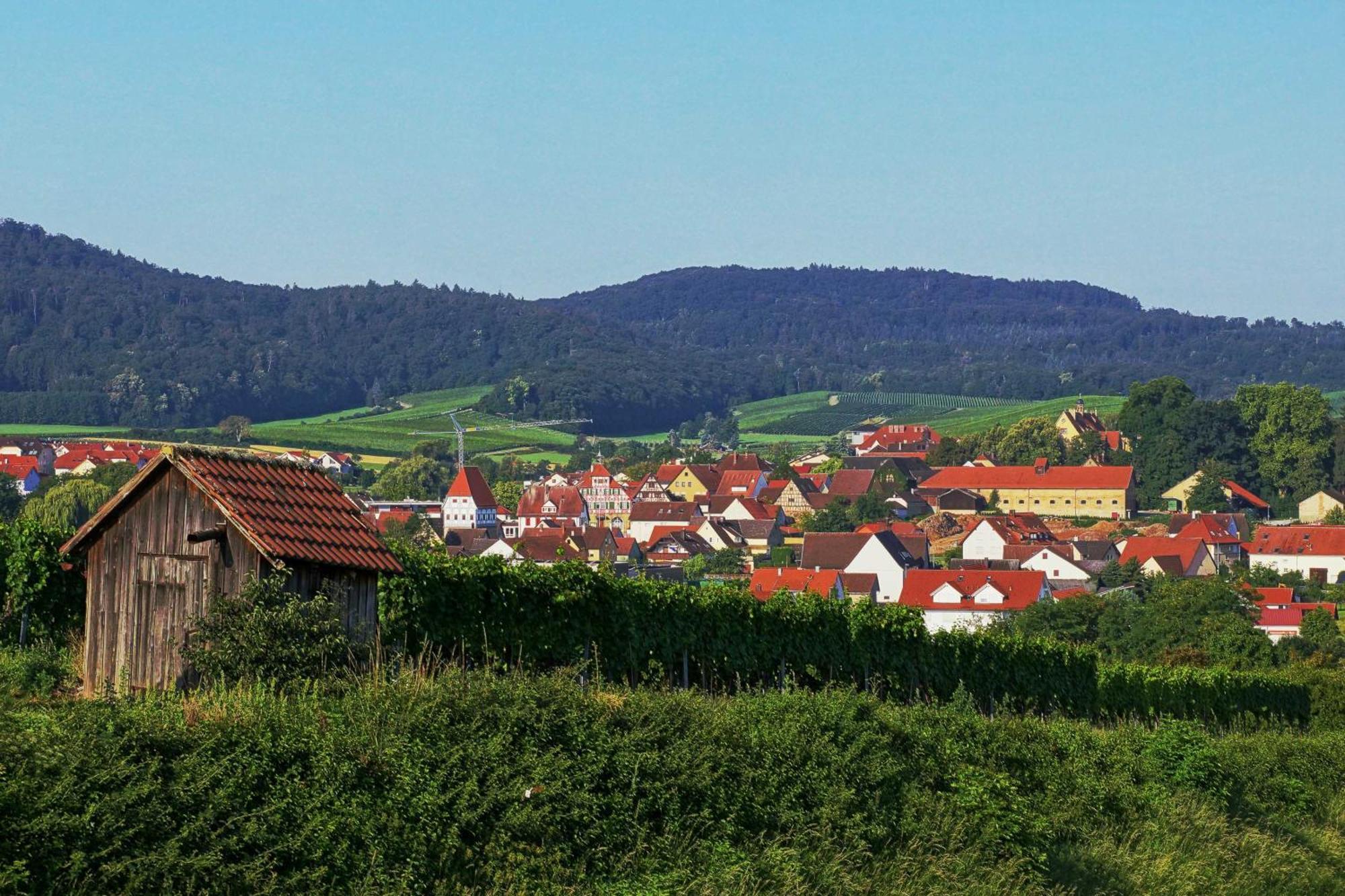 Lehrensteinsfeld Gaestehaus Zum Wolffenturm מראה חיצוני תמונה